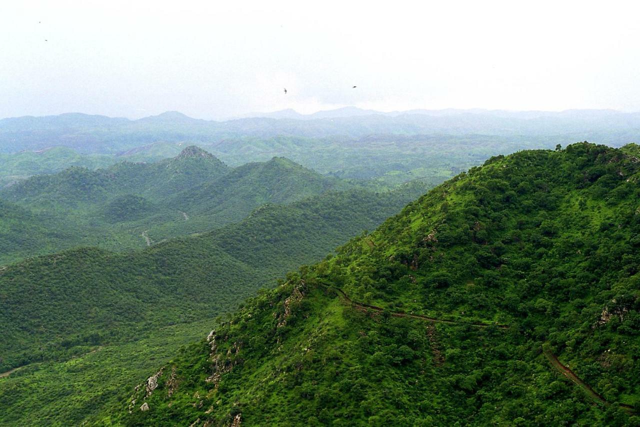 Hill View Palace